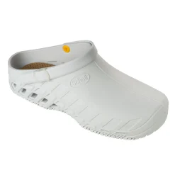 Scholl Calzature Per Ristorazione|Zoccoli Sanitari*Ciabatte clog evo