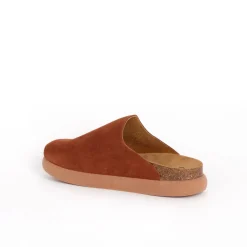 Donna Scholl Sabot*Clog ivy