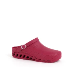 Scholl Scarpe Chiuse*Clogs clog evo