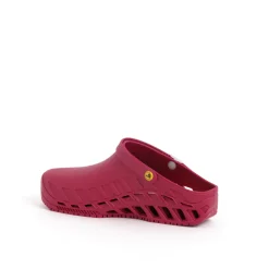 Scholl Scarpe Chiuse*Clogs clog evo
