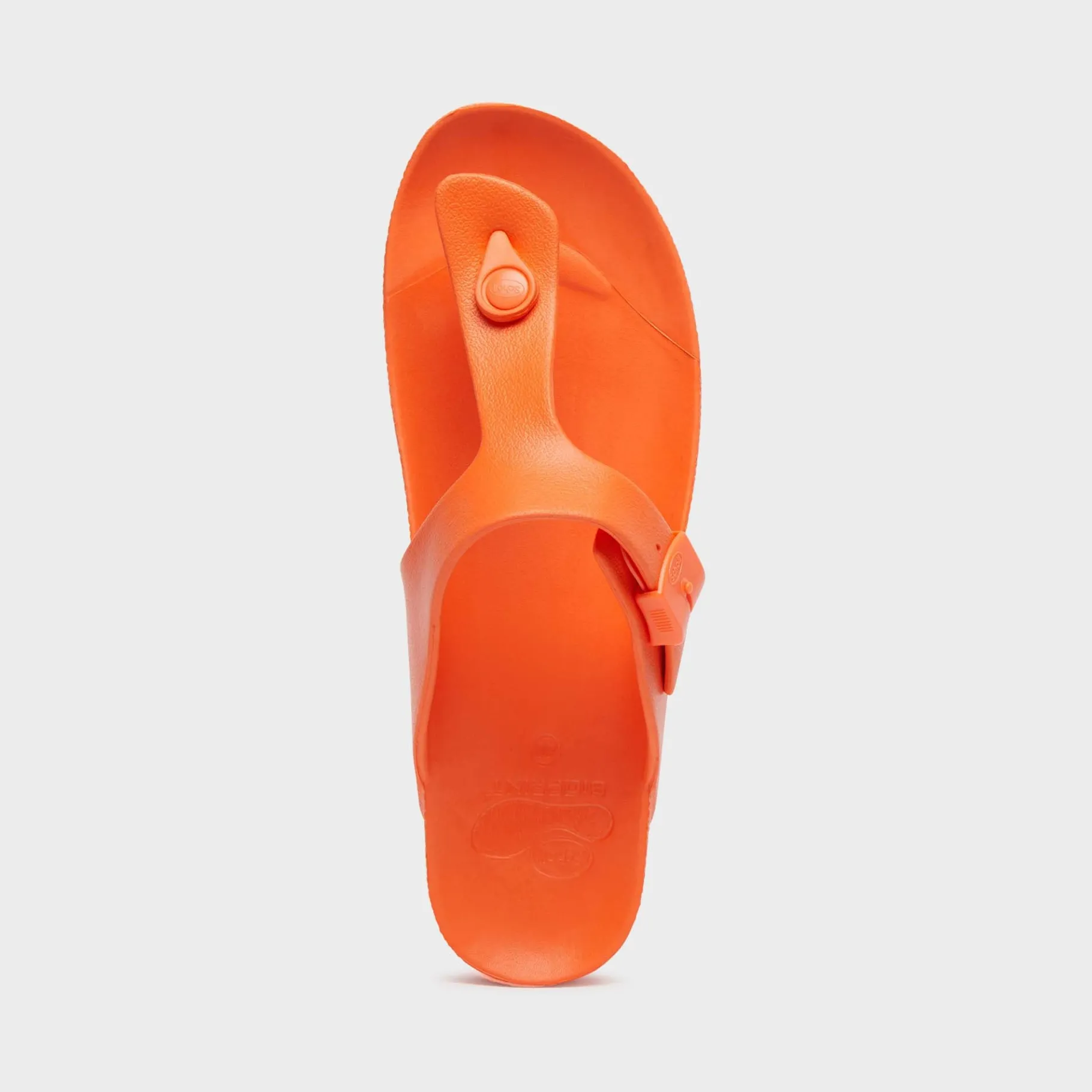 Donna Scholl Infradito*Flip-Flops bahia flip-flop
