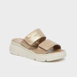 Donna Scholl Sandali*Mules bali 2 straps 25