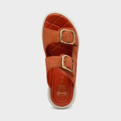 Donna Scholl Sandali*Mules bali buckle