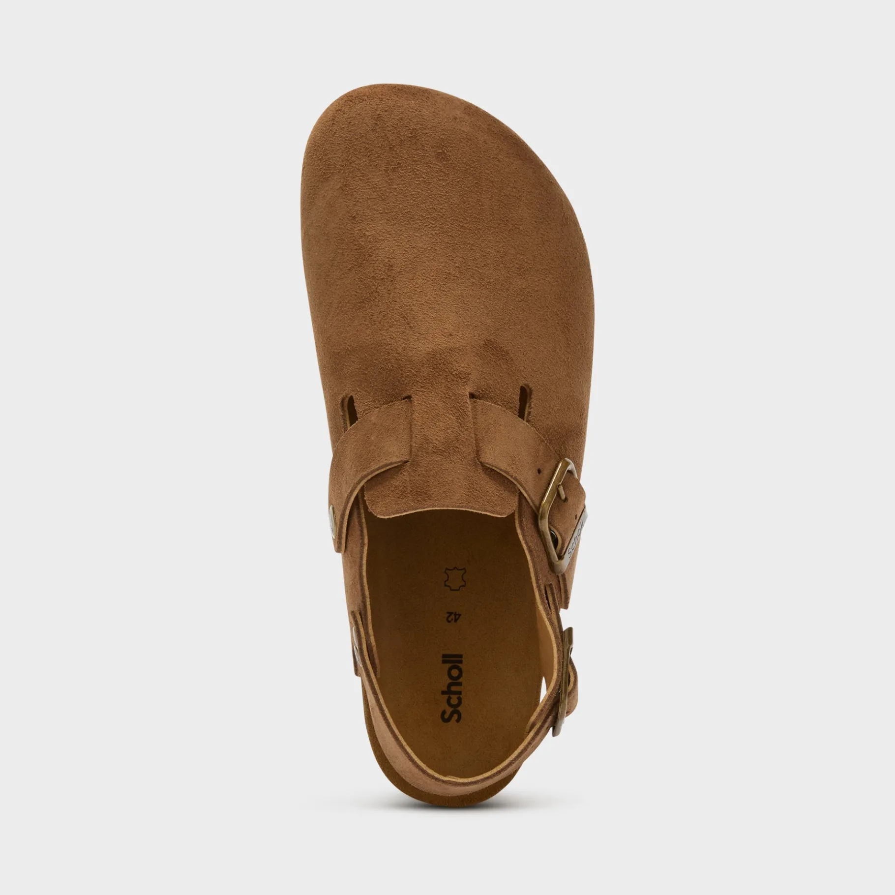 Uomo Scholl Sabot*Mules olivier backstrap