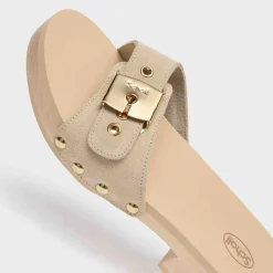 Donna Scholl Tacchi|Sandali*Mules pescura jane