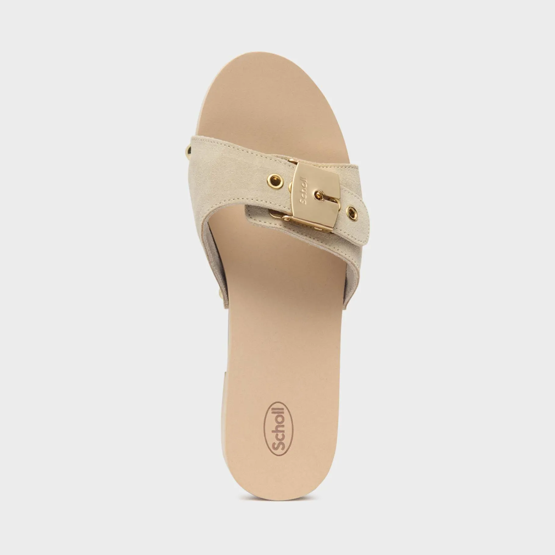 Donna Scholl Tacchi|Sandali*Mules pescura jane