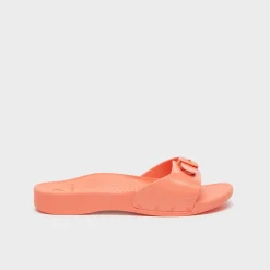 Donna Scholl Sandali*Mules sun