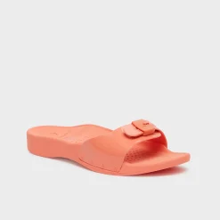 Donna Scholl Sandali*Mules sun