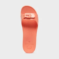 Donna Scholl Sandali*Mules sun