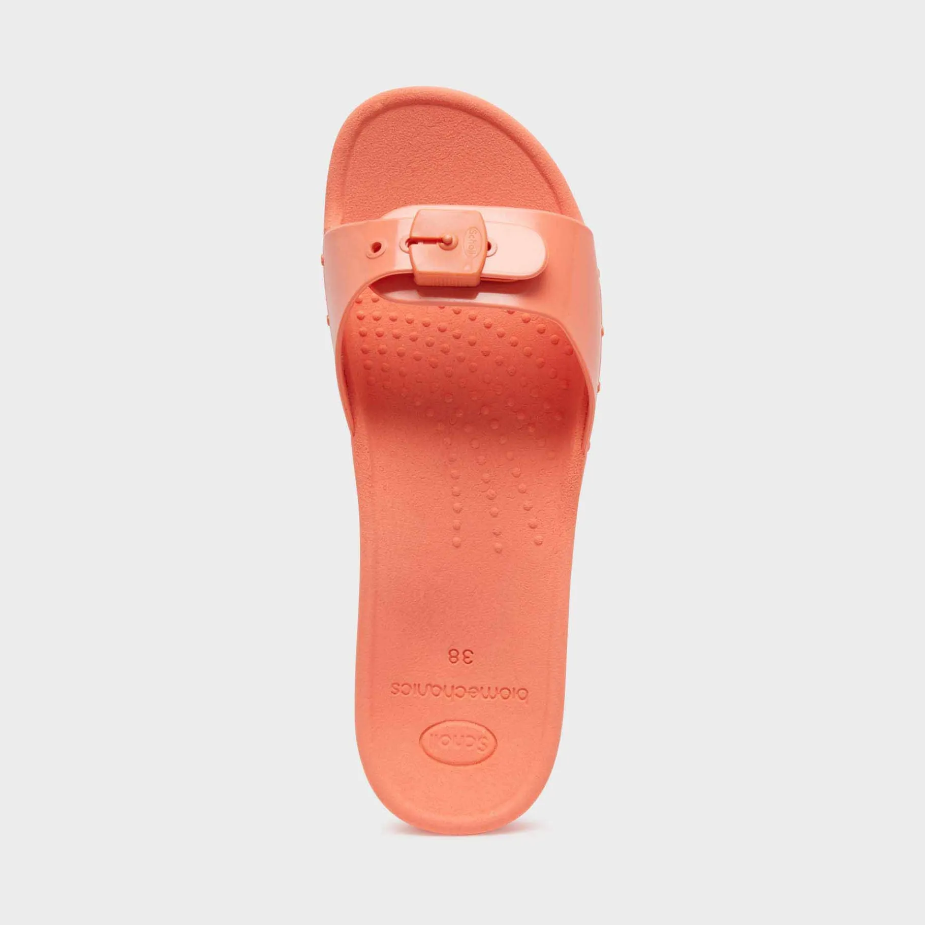 Donna Scholl Sandali*Mules sun