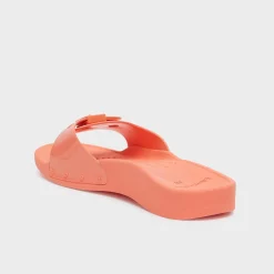 Donna Scholl Sandali*Mules sun