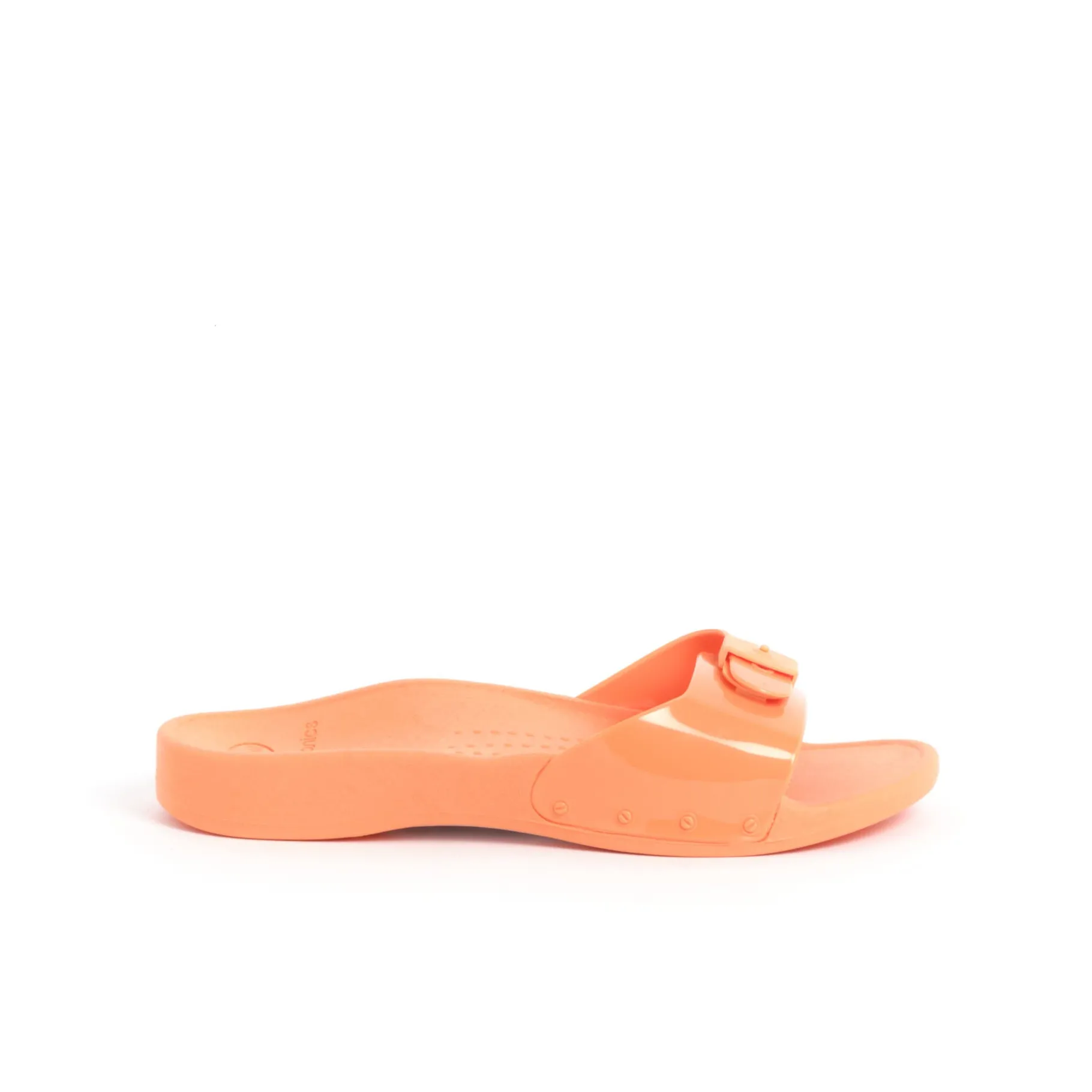 Donna Scholl Sandali*Mules sun