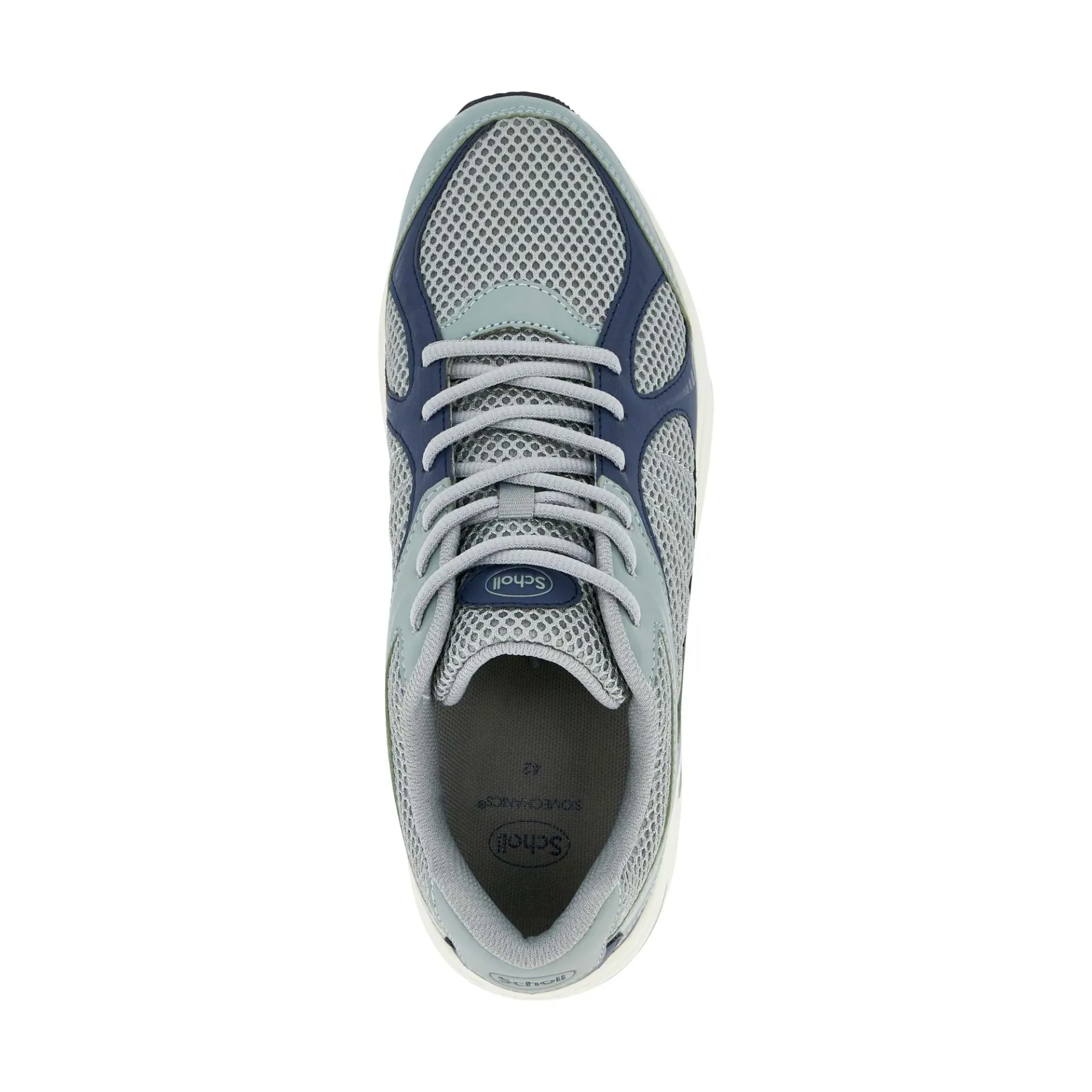 Donna Scholl Sneakers|Sneakers*Sneakers new sprinter