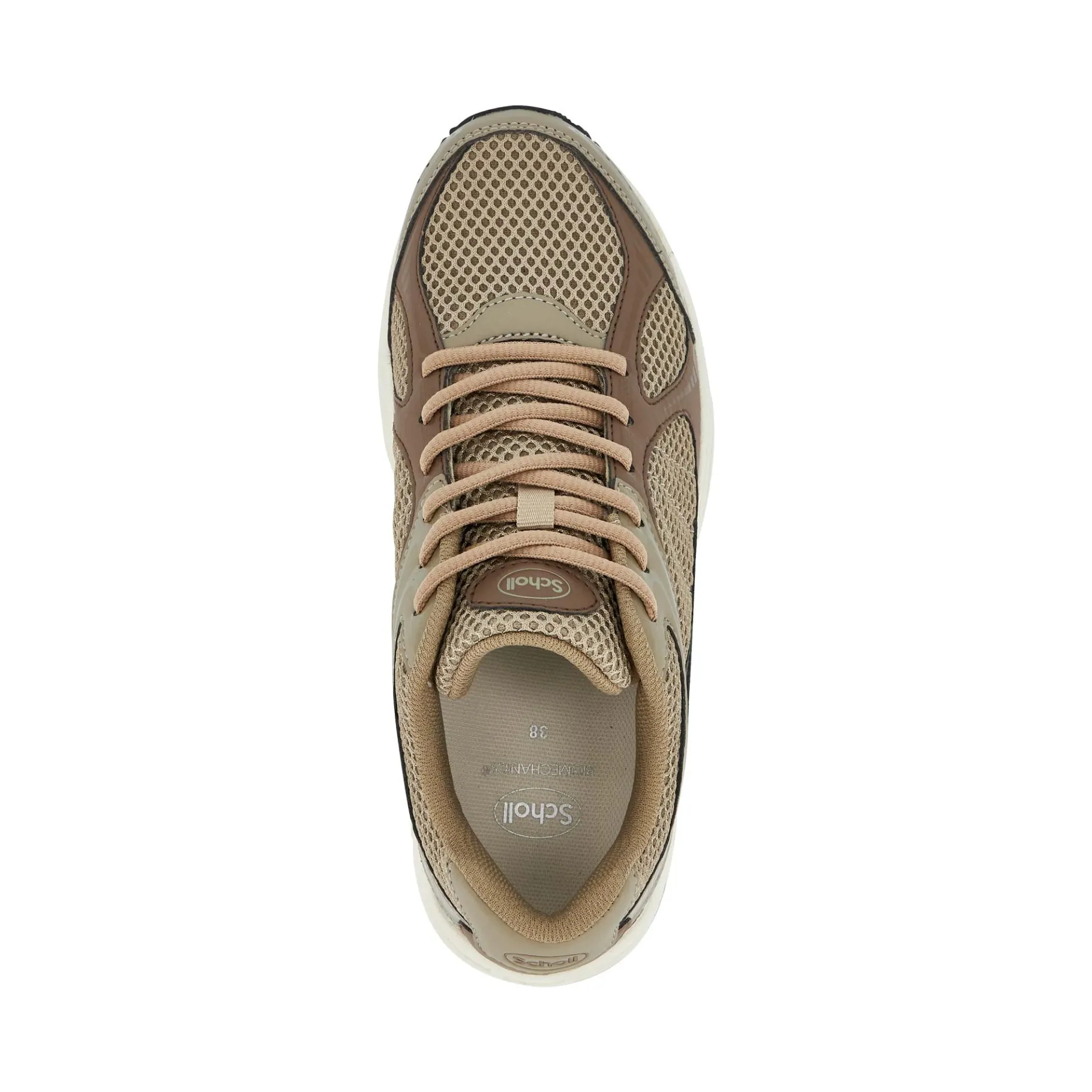 Donna Scholl Sneakers|Sneakers*Sneakers new sprinter
