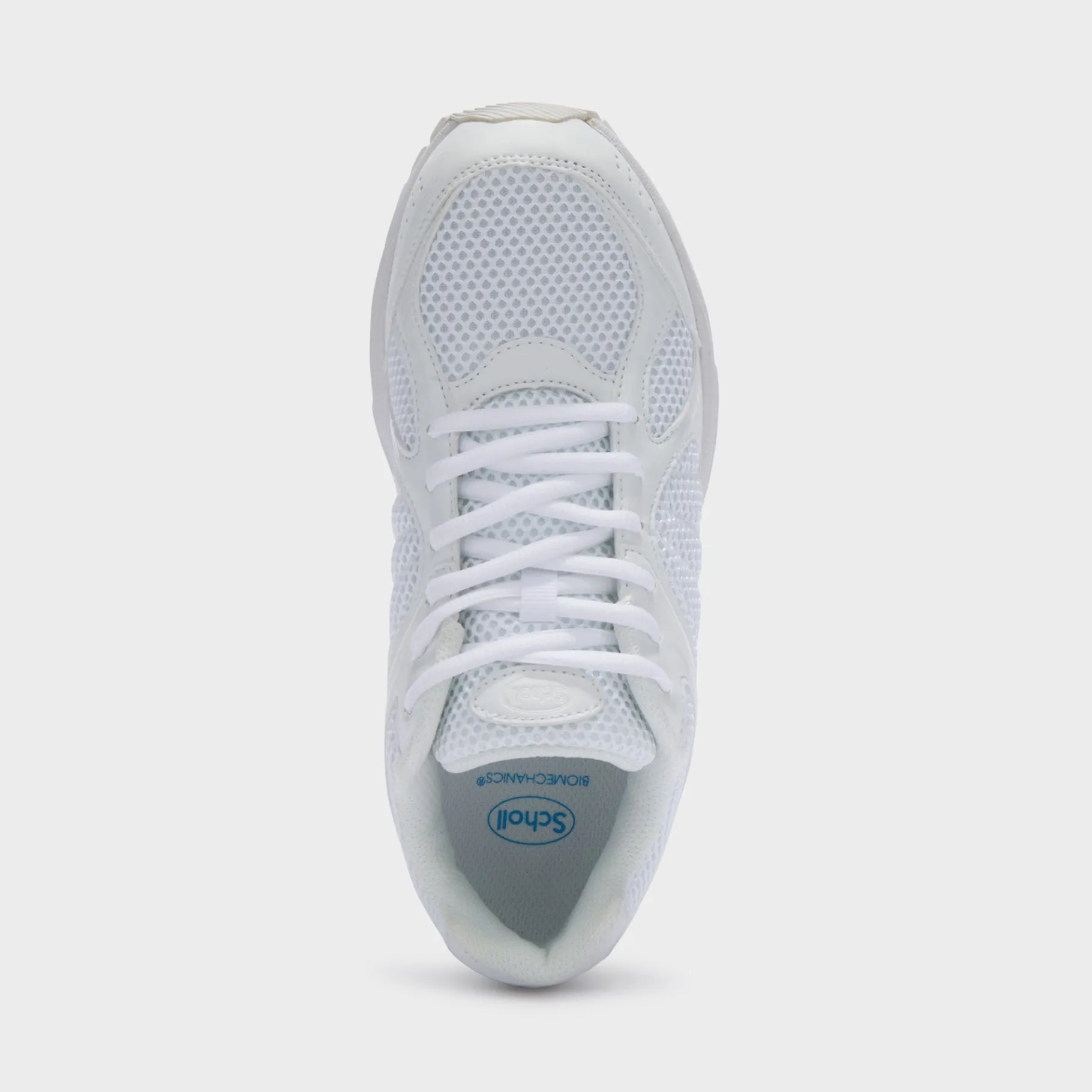 Donna Scholl Sneakers|Sneakers*Sneakers new sprinter
