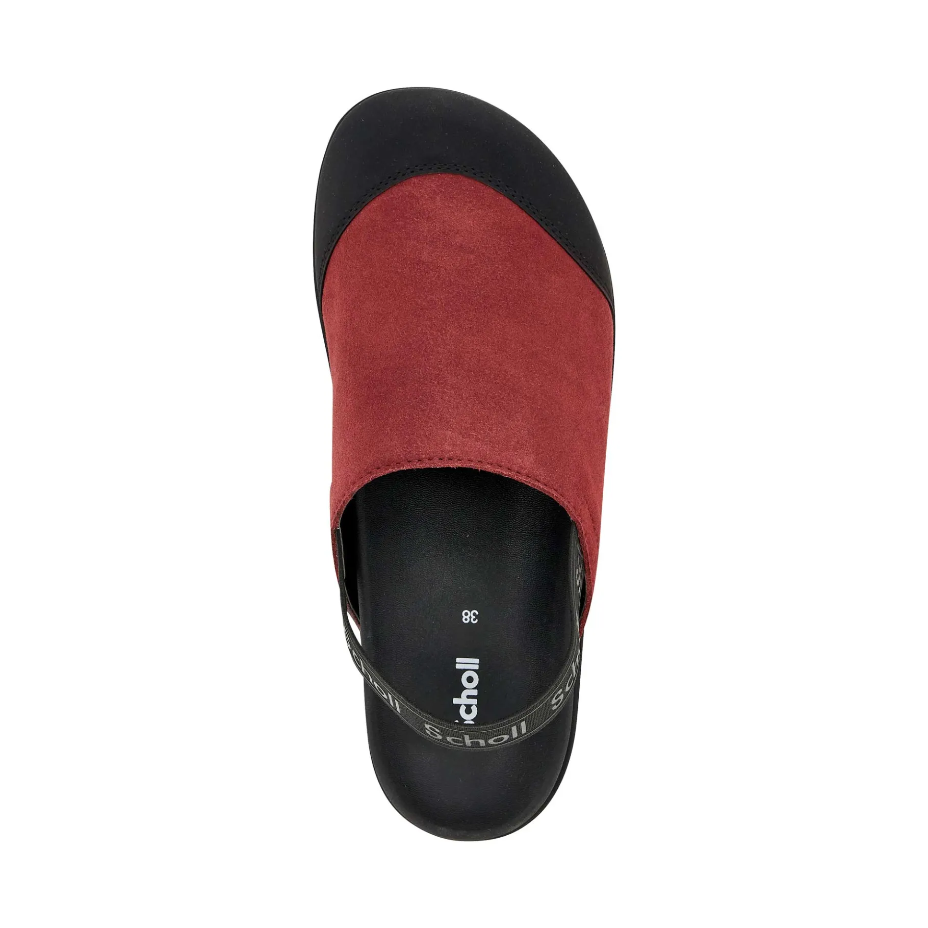 Donna Scholl Sabot*Zoccoli abby