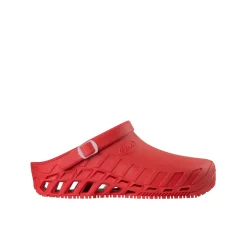 Scholl Calzature Per Ristorazione|Zoccoli Sanitari*Zoccoli clog evo