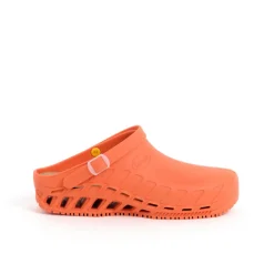 Scholl Scarpe Chiuse|Calzature Antistatiche*Zoccoli clog evo