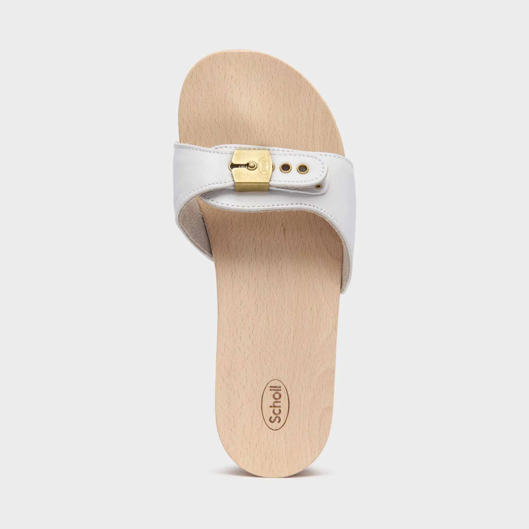 Donna Scholl Sandali|Zoccoli*Zoccoli pescura heel