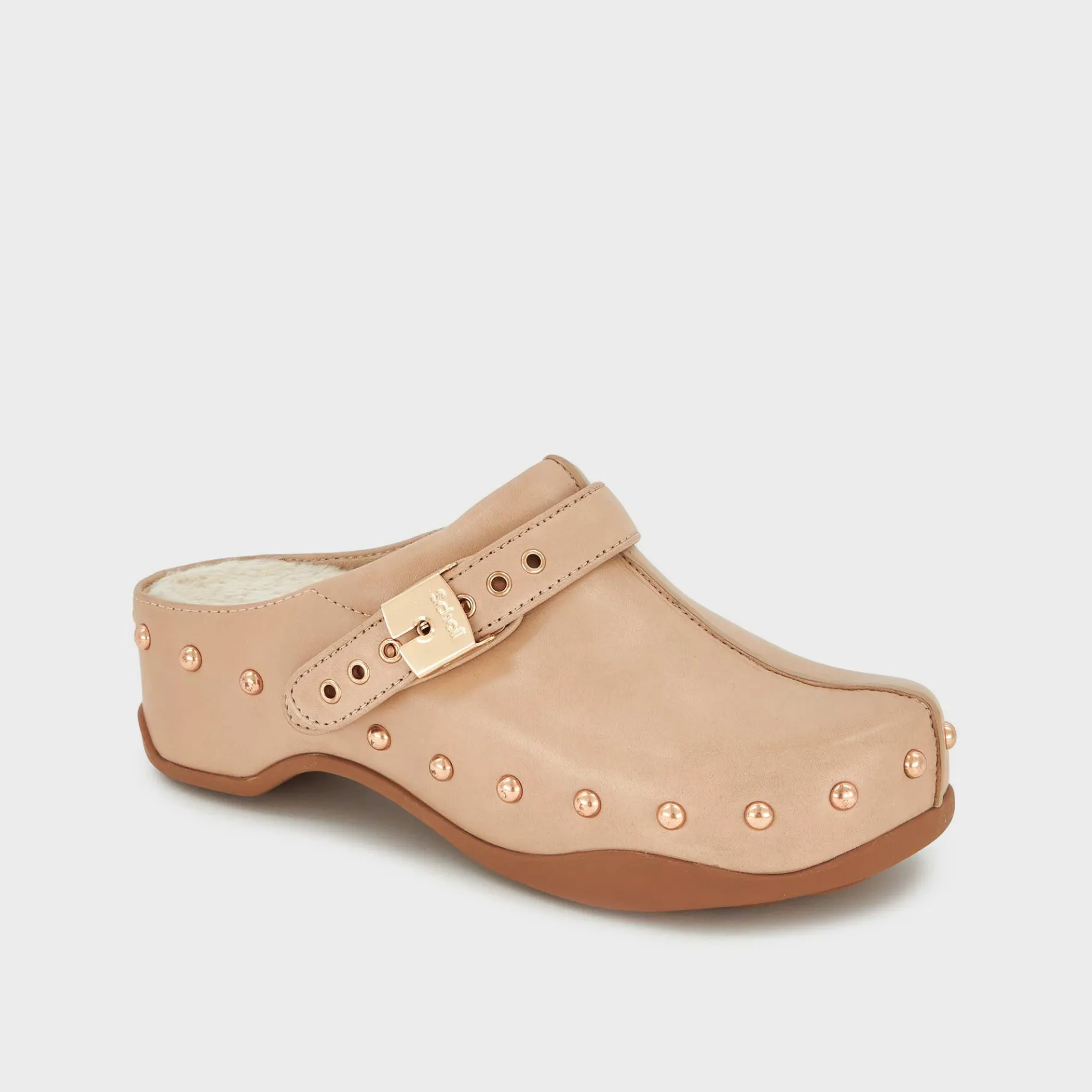 Donna Scholl Zoccoli*Zoccoli pescura phoebe