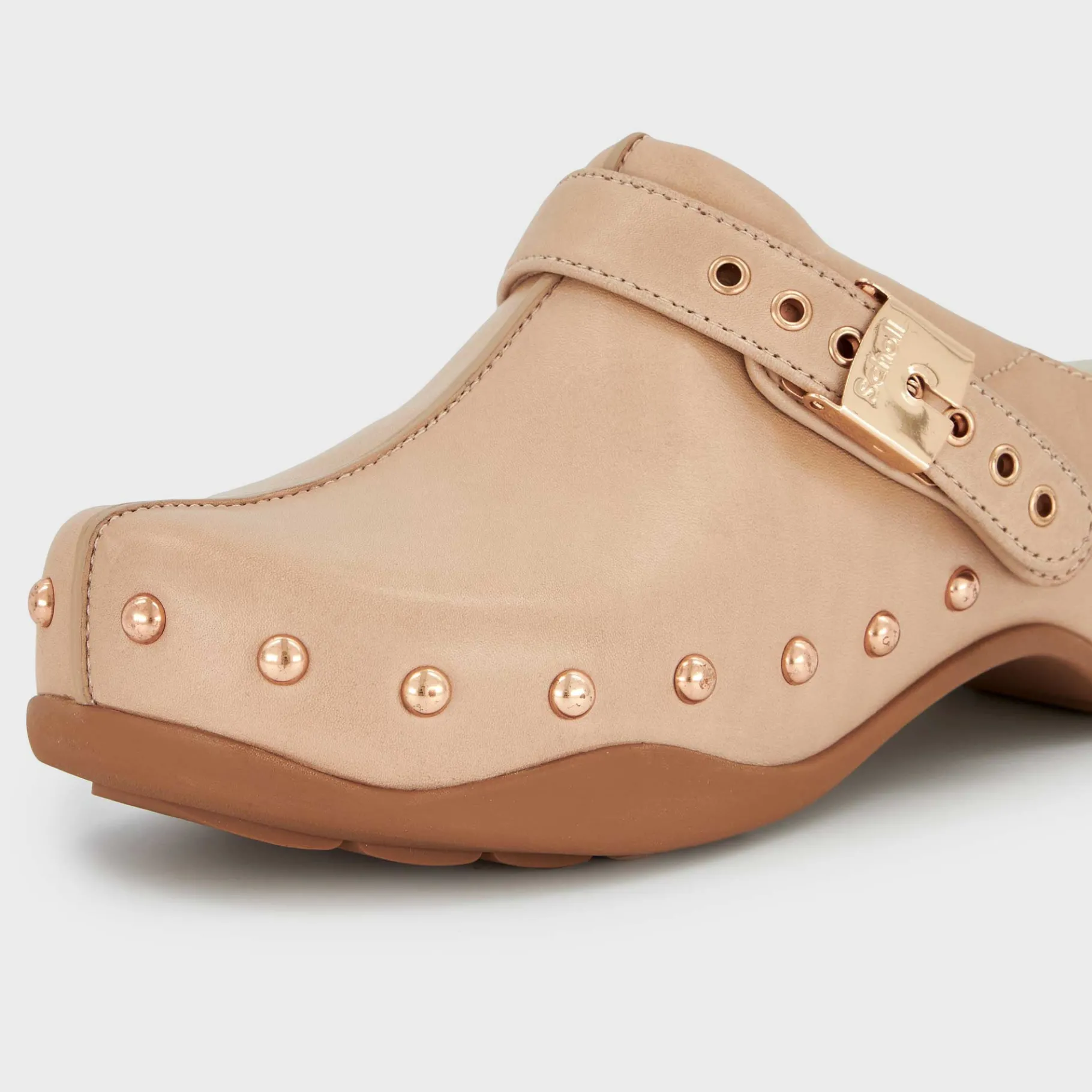 Donna Scholl Zoccoli*Zoccoli pescura phoebe