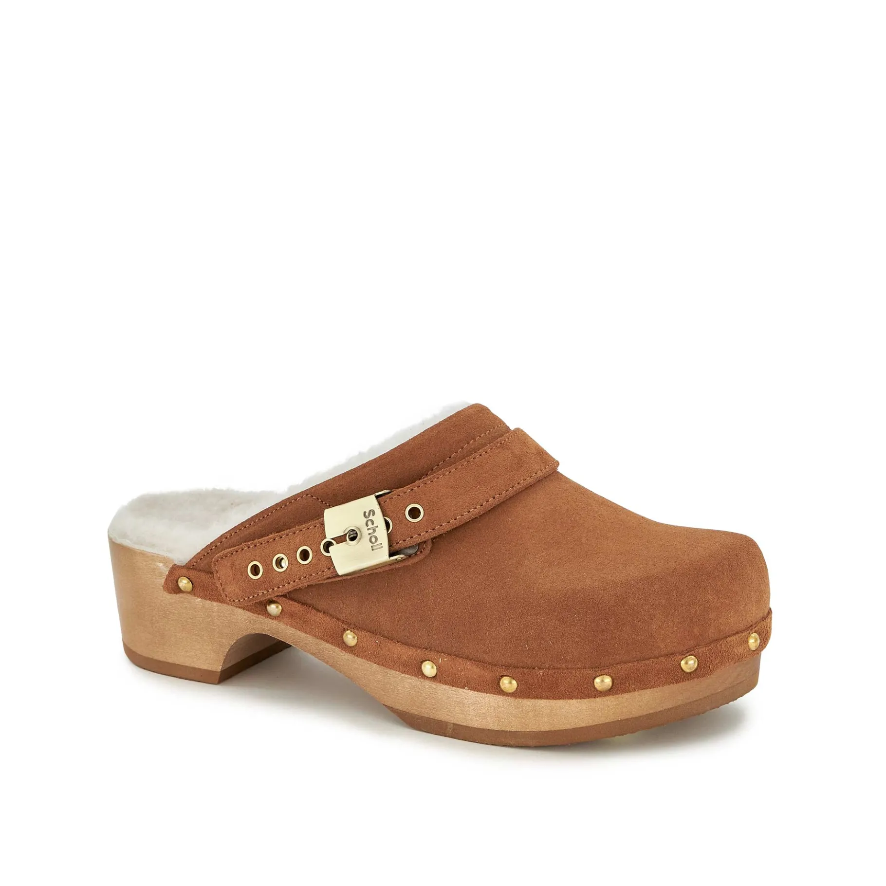 Donna Scholl Zoccoli*Zoccoli pescura robin